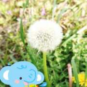 ヒメ日記 2026/04/20 12:17 投稿 野田つばさ ほっこりーヌ谷九店
