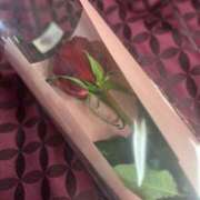 ヒメ日記 2025/01/21 09:05 投稿 蒼井華恋(あおいかれん) 九州熟女　八代店