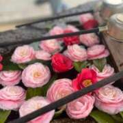 ヒメ日記 2025/05/07 07:25 投稿 蒼井華恋(あおいかれん) 九州熟女　八代店