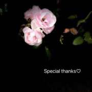 ヒメ日記 2025/12/14 16:35 投稿 蒼井華恋(あおいかれん) 九州熟女　八代店