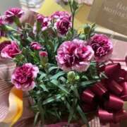 ヒメ日記 2025/12/22 15:05 投稿 蒼井華恋(あおいかれん) 九州熟女　八代店