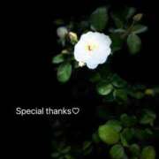 ヒメ日記 2025/12/27 16:49 投稿 蒼井華恋(あおいかれん) 九州熟女　八代店