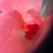 ヒメ日記 2025/12/29 08:16 投稿 蒼井華恋(あおいかれん) 九州熟女　八代店