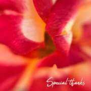 ヒメ日記 2025/12/29 08:58 投稿 蒼井華恋(あおいかれん) 九州熟女　八代店