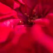 ヒメ日記 2026/01/02 15:45 投稿 蒼井華恋(あおいかれん) 九州熟女　八代店