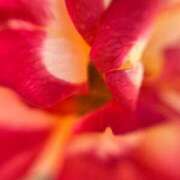 ヒメ日記 2026/01/02 16:05 投稿 蒼井華恋(あおいかれん) 九州熟女　八代店