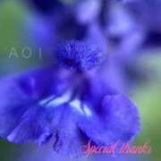 ヒメ日記 2026/01/03 09:25 投稿 蒼井華恋(あおいかれん) 九州熟女　八代店