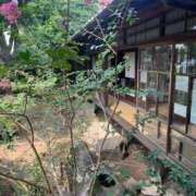 ヒメ日記 2026/01/06 09:35 投稿 蒼井華恋(あおいかれん) 九州熟女　八代店