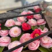 蒼井華恋(あおいかれん) 3日(土)ソフィアＫさん 九州熟女　八代店