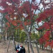 蒼井華恋(あおいかれん) 3日(土)パークＹくん 九州熟女　八代店