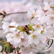 ヒメ日記 2026/04/05 09:39 投稿 蒼井華恋(あおいかれん) 九州熟女　八代店