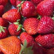 ヒメ日記 2026/04/28 09:25 投稿 蒼井華恋(あおいかれん) 九州熟女　八代店