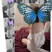 ヒメ日記 2025/01/29 09:25 投稿 市川晶紀(いちかわあき） 九州熟女　八代店