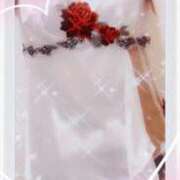 ヒメ日記 2025/05/10 09:45 投稿 市川晶紀(いちかわあき） 九州熟女　八代店