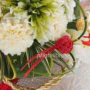 ヒメ日記 2026/01/01 16:15 投稿 市川晶紀(いちかわあき） 九州熟女　八代店