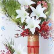 ヒメ日記 2026/01/04 15:15 投稿 市川晶紀(いちかわあき） 九州熟女　八代店