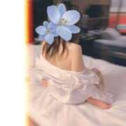 ヒメ日記 2026/03/21 09:25 投稿 市川晶紀(いちかわあき） 九州熟女　八代店