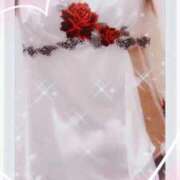 ヒメ日記 2026/04/27 19:15 投稿 市川晶紀(いちかわあき） 九州熟女　八代店