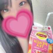 ヒメ日記 2025/03/30 18:16 投稿 りん 私立にじいろ女学園～横浜校～