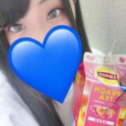 ヒメ日記 2025/04/02 18:39 投稿 りん 私立にじいろ女学園～横浜校～