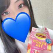 ヒメ日記 2025/04/08 17:18 投稿 りん 私立にじいろ女学園～横浜校～
