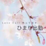 ヒメ日記 2025/04/07 09:48 投稿 ひまり 熟女の風俗最終章 高崎店