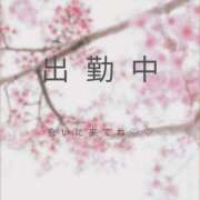 ヒメ日記 2026/04/14 09:32 投稿 ひまり 熟女の風俗最終章 高崎店
