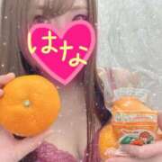 ヒメ日記 2025/02/06 01:09 投稿 はな 横浜人妻ヒットパレード（シンデレラグループ）