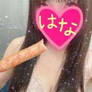 ヒメ日記 2025/02/20 02:33 投稿 はな 横浜人妻ヒットパレード（シンデレラグループ）