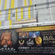 ヒメ日記 2025/04/02 11:30 投稿 はな 横浜人妻ヒットパレード（シンデレラグループ）