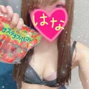 ヒメ日記 2025/04/10 01:12 投稿 はな 横浜人妻ヒットパレード（シンデレラグループ）