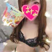 ヒメ日記 2025/11/19 14:16 投稿 はな 横浜人妻ヒットパレード（シンデレラグループ）