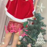 ヒメ日記 2025/12/24 09:45 投稿 はな 横浜人妻ヒットパレード（シンデレラグループ）