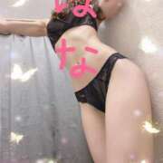 ヒメ日記 2026/01/15 11:21 投稿 はな 横浜人妻ヒットパレード（シンデレラグループ）