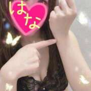 ヒメ日記 2026/01/22 01:53 投稿 はな 横浜人妻ヒットパレード（シンデレラグループ）