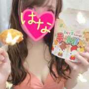 ヒメ日記 2026/02/11 13:48 投稿 はな 横浜人妻ヒットパレード（シンデレラグループ）