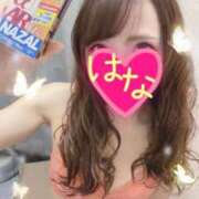 ヒメ日記 2026/02/12 03:45 投稿 はな 横浜人妻ヒットパレード（シンデレラグループ）