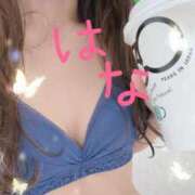 ヒメ日記 2026/04/09 03:45 投稿 はな 横浜人妻ヒットパレード（シンデレラグループ）