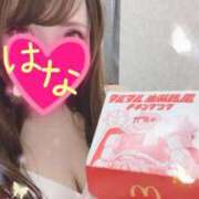 ヒメ日記 2026/04/15 13:58 投稿 はな 横浜人妻ヒットパレード（シンデレラグループ）