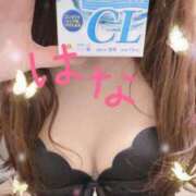 ヒメ日記 2026/04/22 01:46 投稿 はな 横浜人妻ヒットパレード（シンデレラグループ）