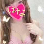 ヒメ日記 2026/04/30 03:45 投稿 はな 横浜人妻ヒットパレード（シンデレラグループ）