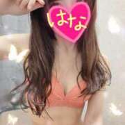 ヒメ日記 2026/05/20 02:17 投稿 はな 横浜人妻ヒットパレード（シンデレラグループ）