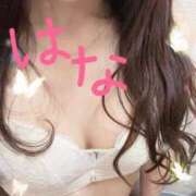 ヒメ日記 2026/05/21 02:56 投稿 はな 横浜人妻ヒットパレード（シンデレラグループ）