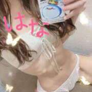 ヒメ日記 2026/06/10 14:29 投稿 はな 横浜人妻ヒットパレード（シンデレラグループ）