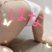 ヒメ日記 2026/06/17 02:00 投稿 はな 横浜人妻ヒットパレード（シンデレラグループ）