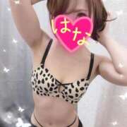 ヒメ日記 2026/08/12 11:06 投稿 はな 横浜人妻ヒットパレード（シンデレラグループ）