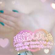 ヒメ日記 2024/12/18 02:44 投稿 せり 女の子がセルフで撮影する店！！成田デリヘル『生パネル』伝説