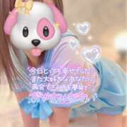 ヒメ日記 2025/02/27 06:31 投稿 せり 女の子がセルフで撮影する店！！成田デリヘル『生パネル』伝説