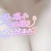 ヒメ日記 2025/03/23 02:51 投稿 せり 女の子がセルフで撮影する店！！成田デリヘル『生パネル』伝説