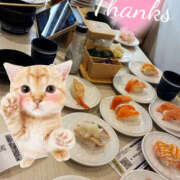 ヒメ日記 2025/08/30 05:56 投稿 せり 女の子がセルフで撮影する店！！成田デリヘル『生パネル』伝説